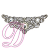 Schiffli on Organza Beaded Motif with Rhinestone Accents